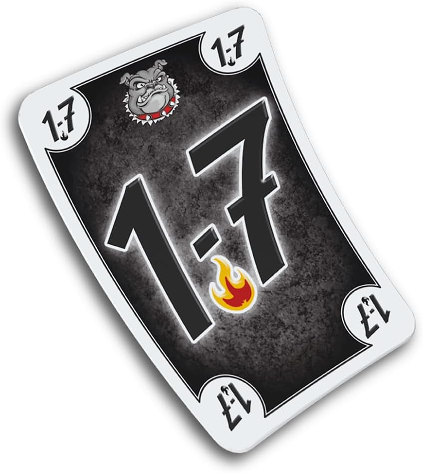 Schmidt Spiele 49323 Black DOG, jeu familial