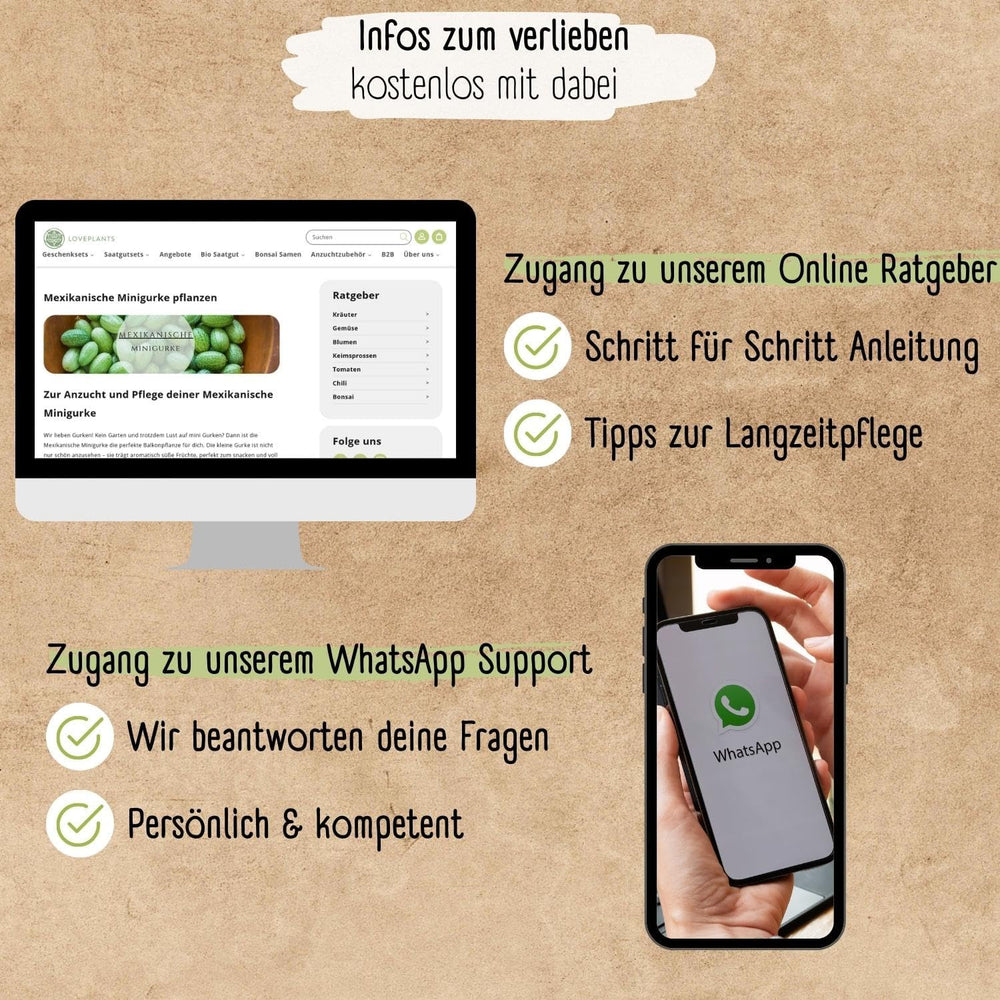 Mini graines de concombre mexicaines biologiques, 10 graines de concombre, taux de germination élevé, certifiées Demeter et pollinisation ouverte | LOVEPLANTS Graines de légumes pour lit surélevé de jardin de balcon - Variétés de légumes d'héritage