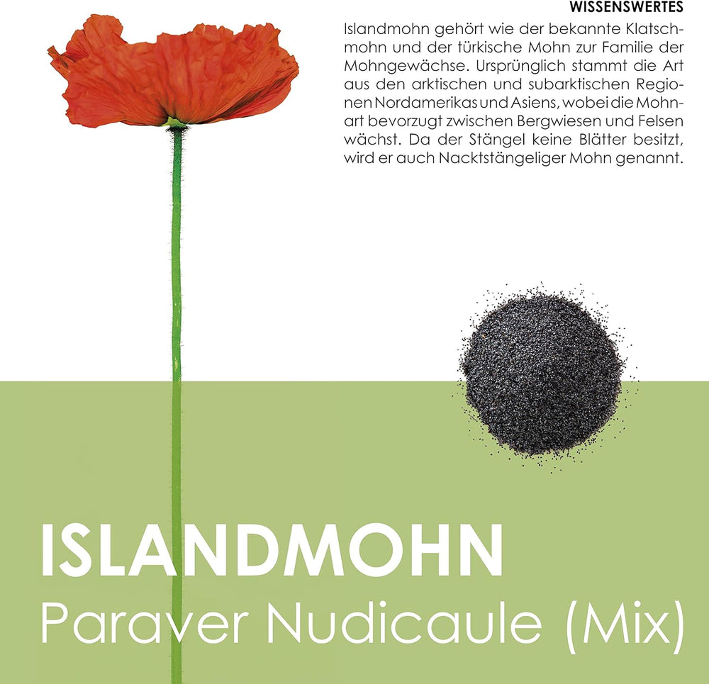 Mélange de graines de pavot d'Islande (Papaver nudicaule) - De magnifiques coquelicots à fleurs avec une longue période de floraison pour une prairie fleurie colorée (pavot d'Islande)