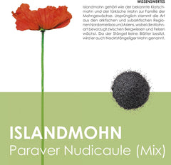 Mélange de graines de pavot d'Islande (Papaver nudicaule) - De magnifiques coquelicots à fleurs avec une longue période de floraison pour une prairie fleurie colorée (pavot d'Islande)