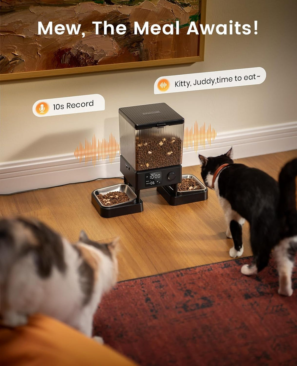 oneisall 5L Futterautomat Katze 2 Napfe, Katzenfutter Automat mit einem Knopf, Einfache Bedienung, Futterspender für Katzen/Hunde, mit Edelstahlschüssel, Voice Recorder, for small/mittlere Haustiere