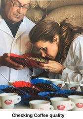 Café en grains Saquella Caffe Saquella Espresso Extra Cream, 1 paquet (1 x 1 kg)