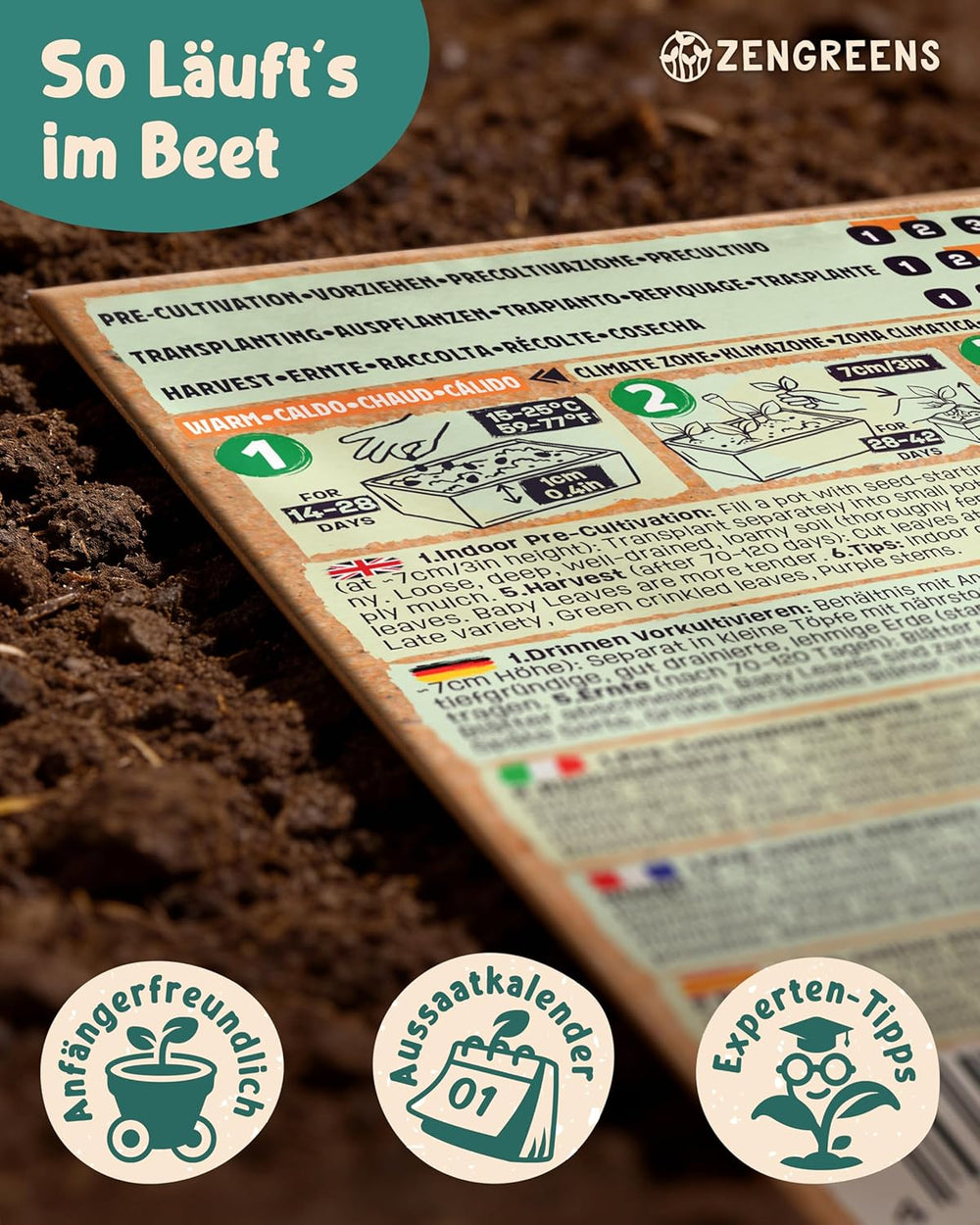 Bio Wintergemüsesamen Im 20Er Set - 20 Winter Gemüse Samen Für Den Einfachen Anbau Im Garten, Balkon Oder Hochbeet - Pflanzensamen - Saatgut