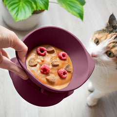 ne&no® Silikon Katzennapf erhöhet mit Verstellbarer Neigung | Futternapf Katze erhöhet | Katzen Futternapf erhöhet | Katzen Napf