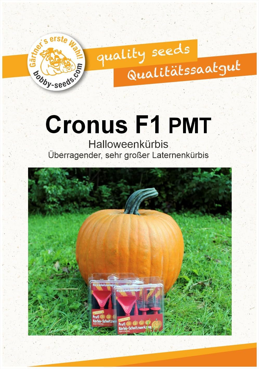 Cronus PMT F1 Kürbissamen Von Bobby-Seeds, Portion