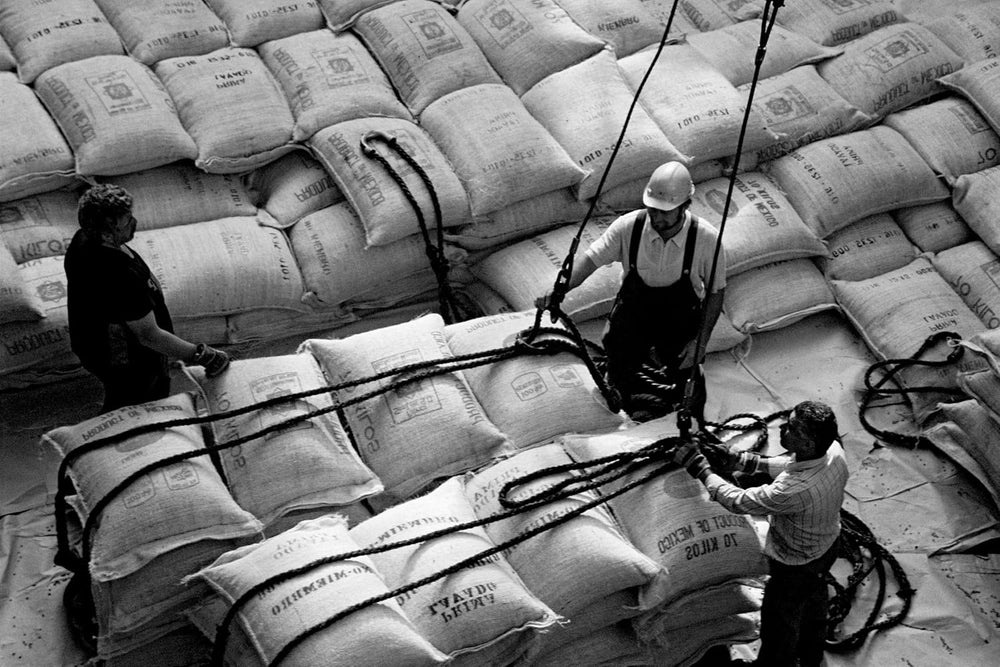 Bristot Buongusto Crema Oro, grains entiers, 1kg