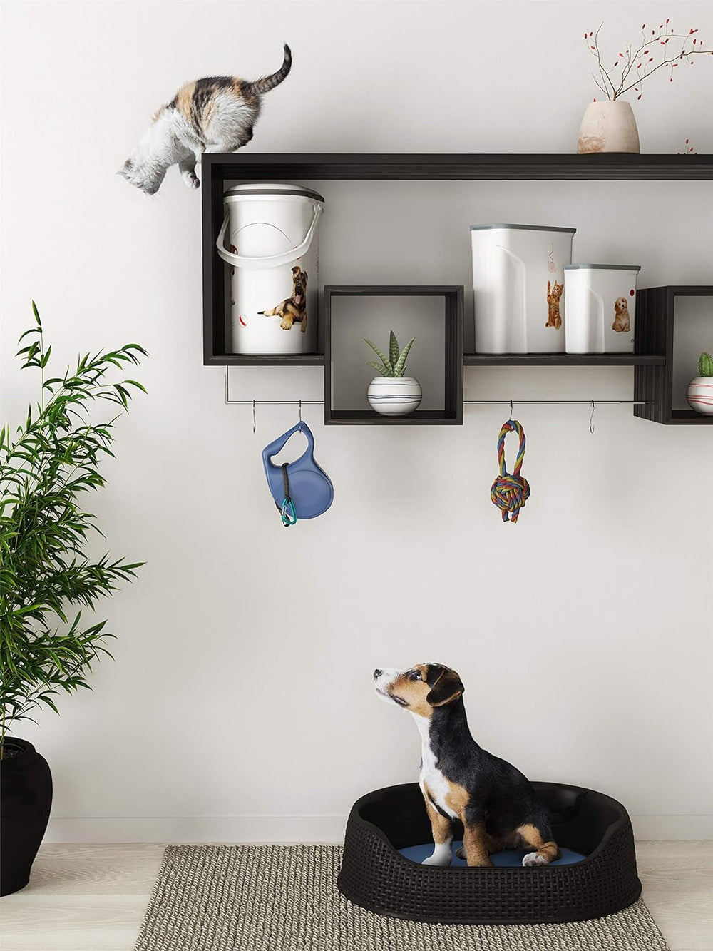 Recipient pentru hrană pentru câini Curver - 2 l Cutii depozitare alimente Naty Shop