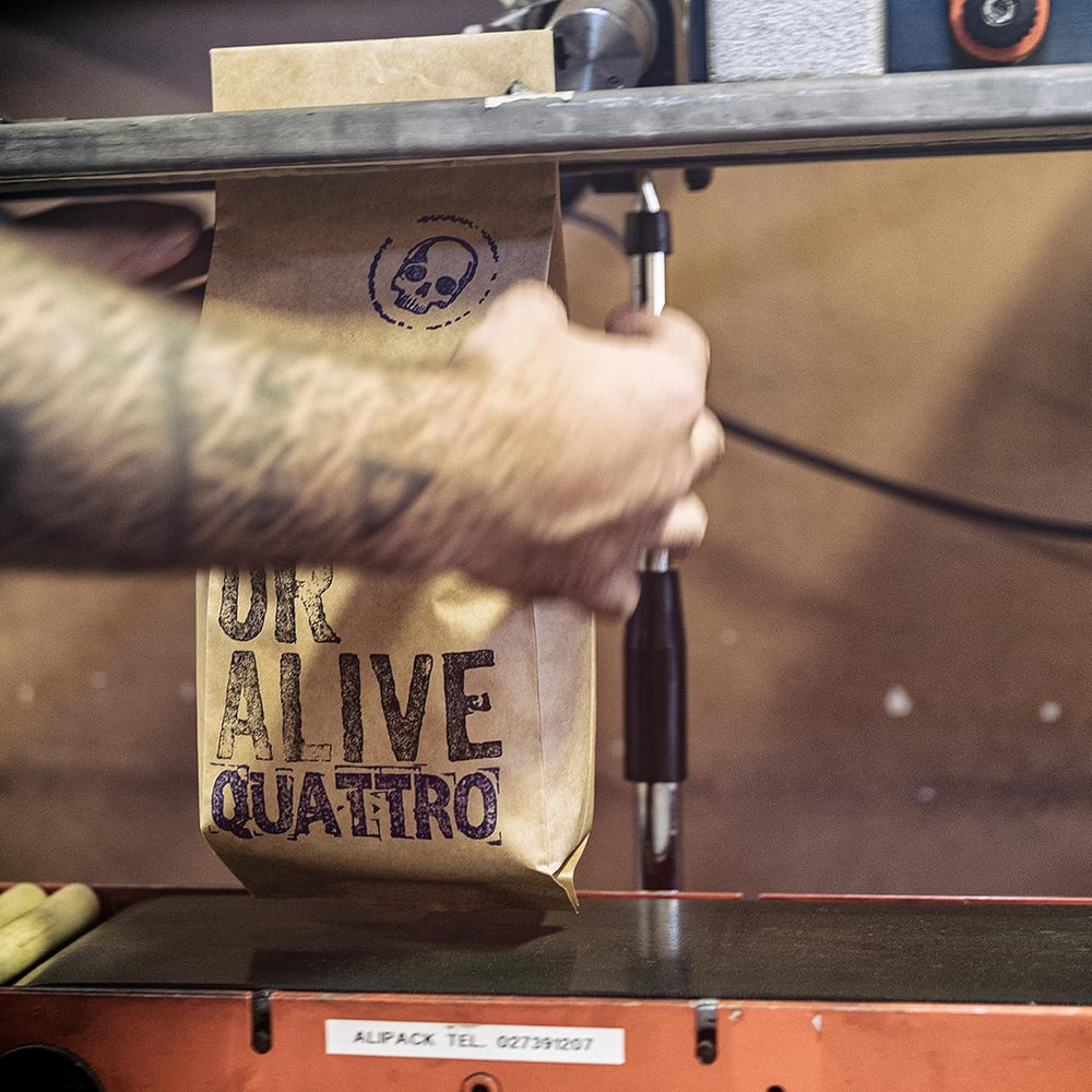 DEAD OR ALIVE QUATTRO – Espresso Bohnen – Mélange Arabica-Robusta – Doux et Aromatisch – Feine Crema – Ganze Bohnen 1 kg – Geröstet en Italien