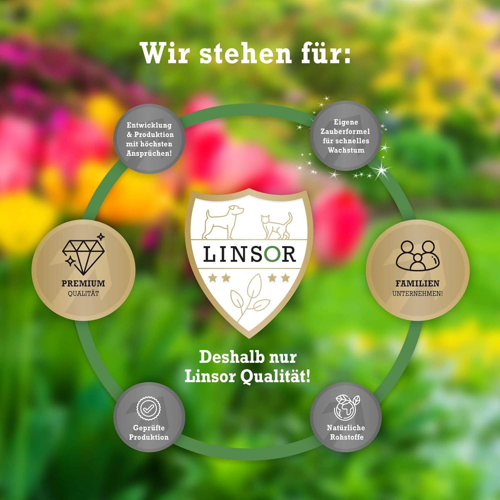 RSM 2.3 Sportrasen, Spielrasen, Trittfest, Robust, Dichte Grasnarbe, Alle Standorte, Regel Saatgut Mischung, 1Kg Für 40M²