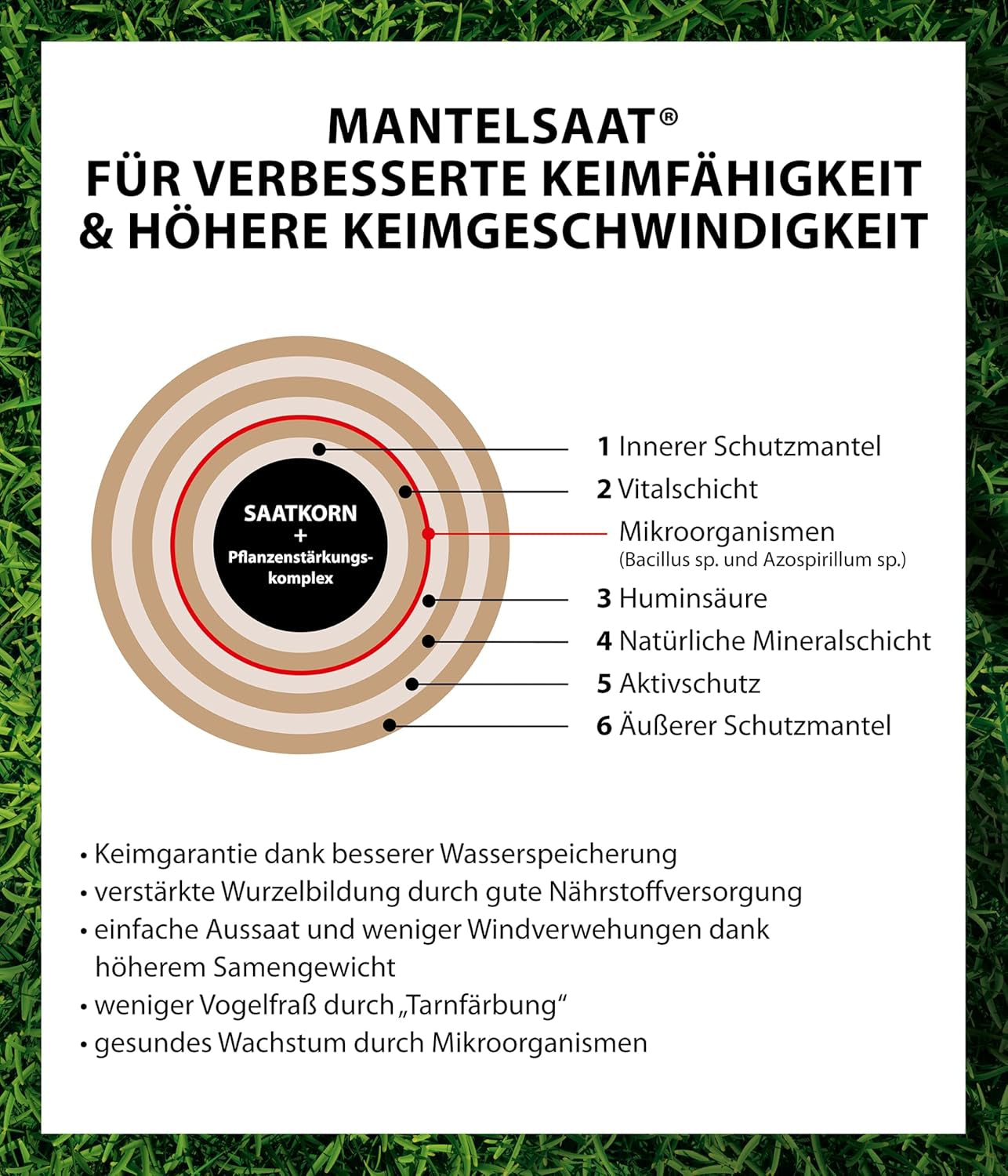 Dehner Saatgut Schattenrasen, Hochwertige Rasensamen Schnell Keimend/Selbstregenerierend, Ideal Für Schattige/Halbschattige Flächen, Fsc-Zertifizierte Verpackung, 1.25 Kg Für Ca. 50 M²