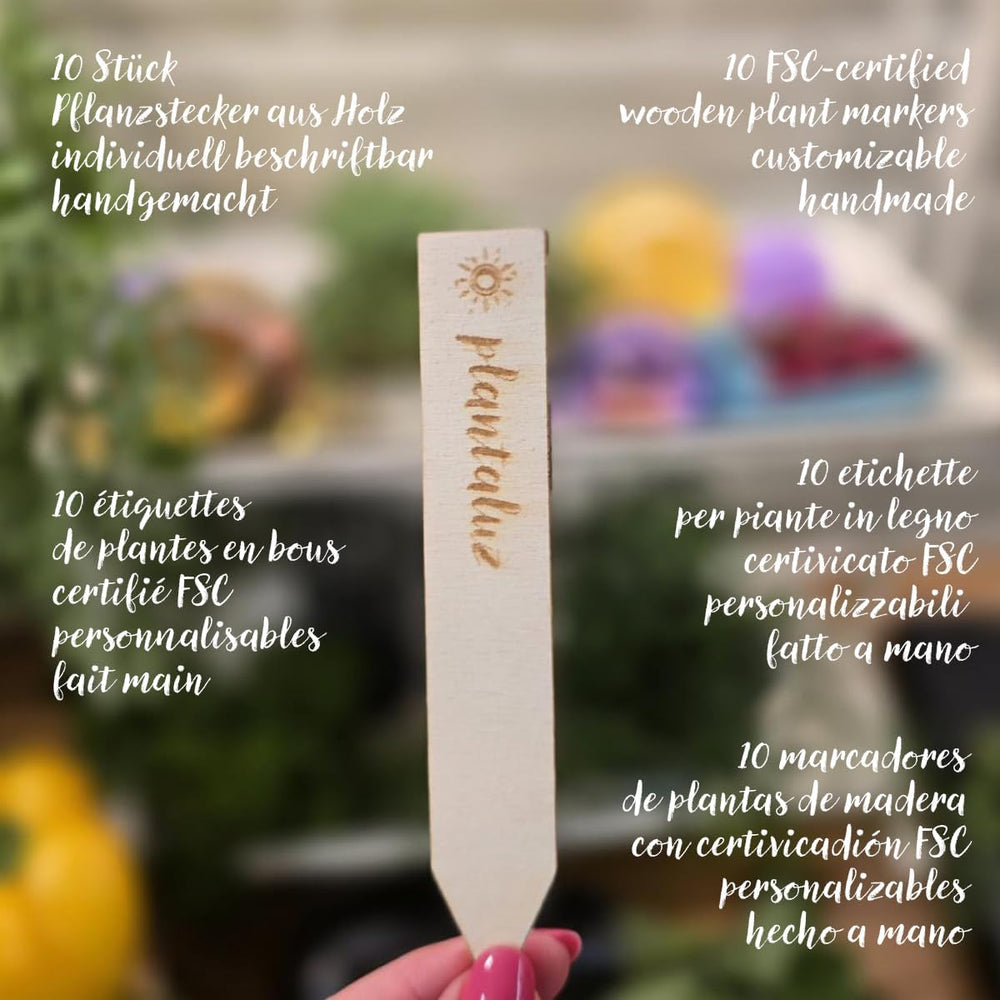 Plantaluz Premium Bio Seed Set P03 – Set de graines de plantes culinaires et médicinales pour jardin, balcon et intérieur – incl. Bâtonnets de plantation FSC – Graines biologiques pollinisées, non traitées et sans OGM