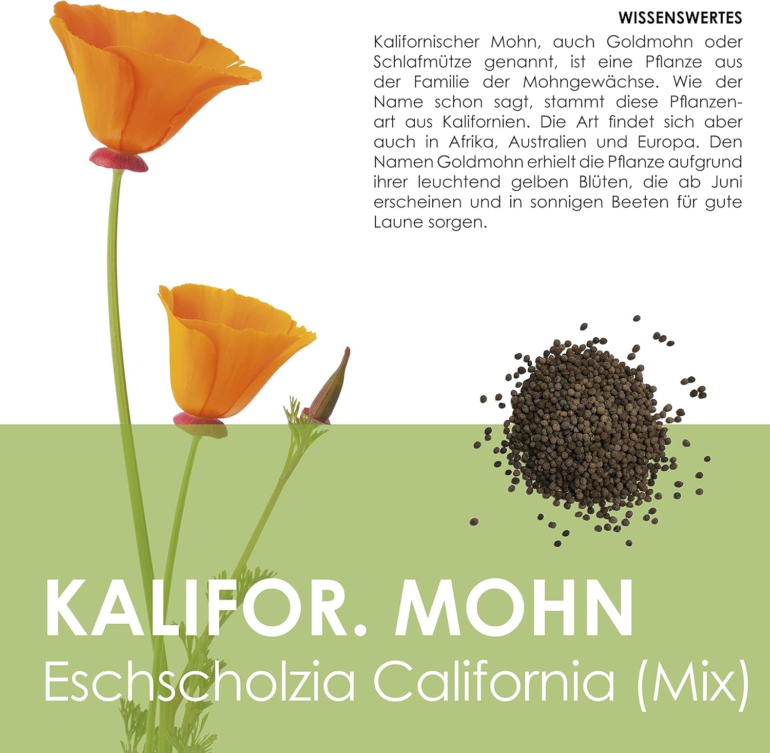 Mélange de graines de pavot de Californie (Eschscholzia californica) - De magnifiques coquelicots à fleurs avec une longue période de floraison pour une prairie fleurie colorée (pavot de Californie)