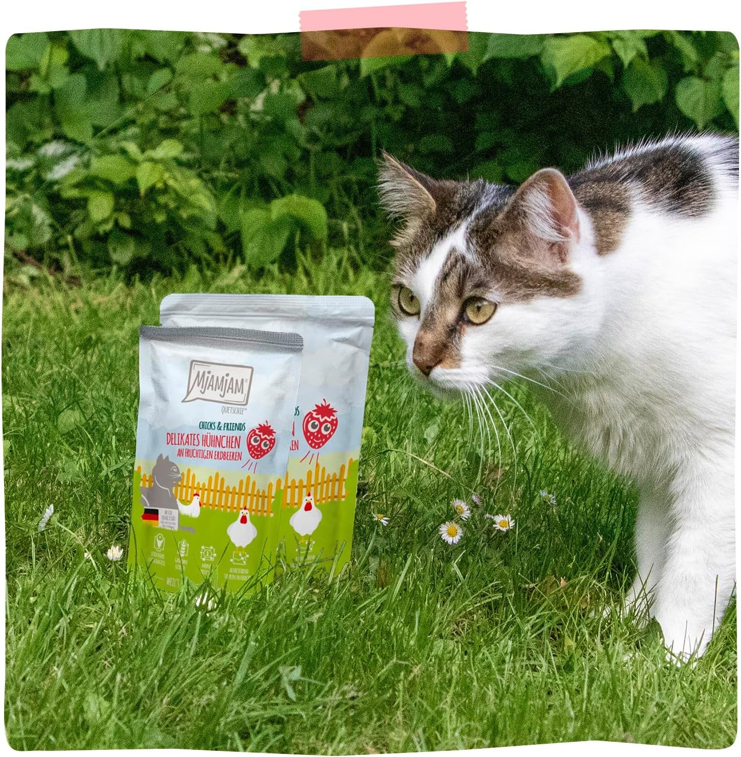 MjAMjAM - Nourriture humide premium pour chat - poulet délicat aux fraises fruitées 400g, paquet de 6 (6 x 400g), naturelle avec un supplément de viande