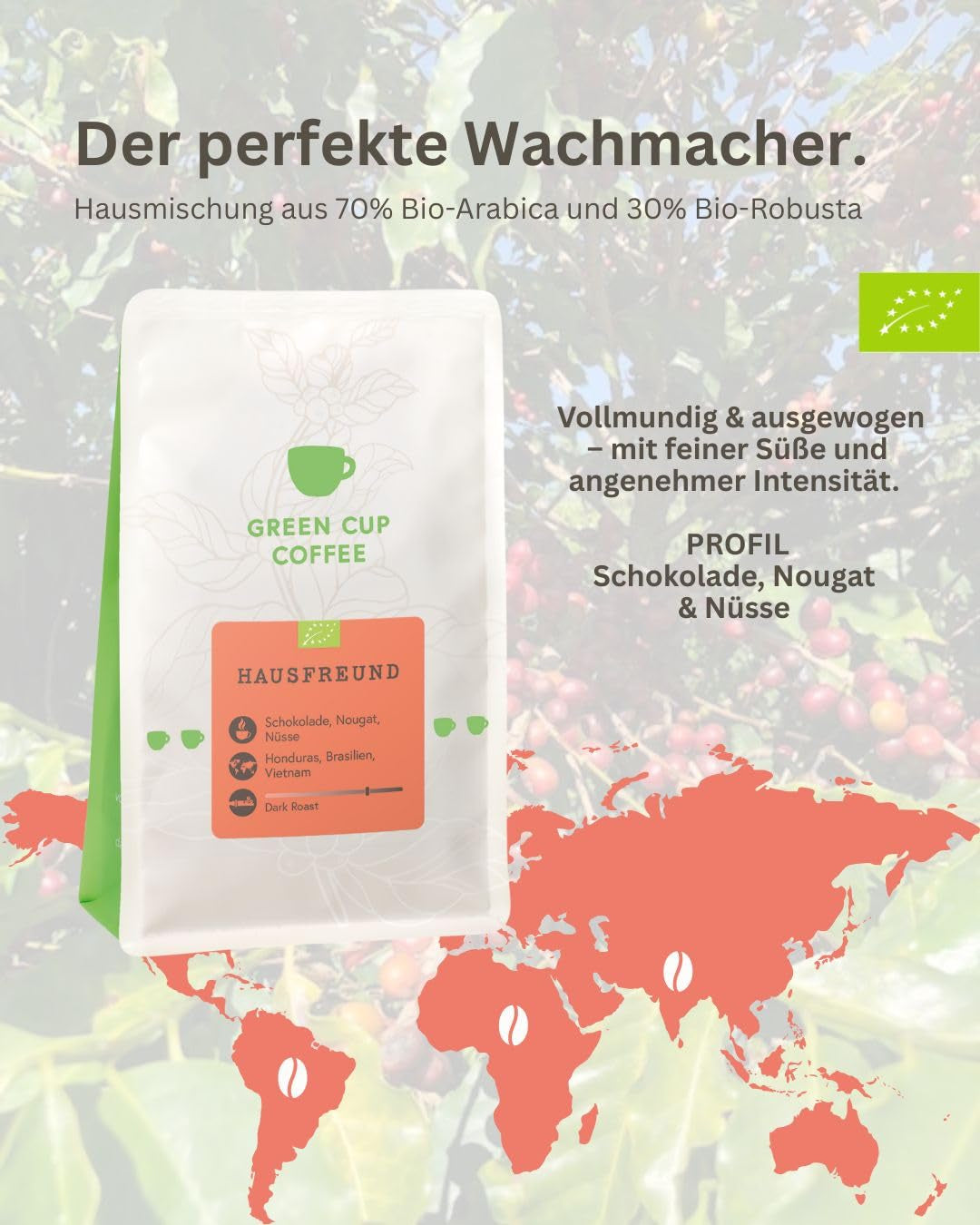 Café - Amateur I 70% Arabica, 30% Robusta I Kaffeebohnen 1kg I idéal pour Moka Kanne, Siebträger et Vollautomat mit schokoladig, nutigen Nougat Aroman I dunkle Röstung