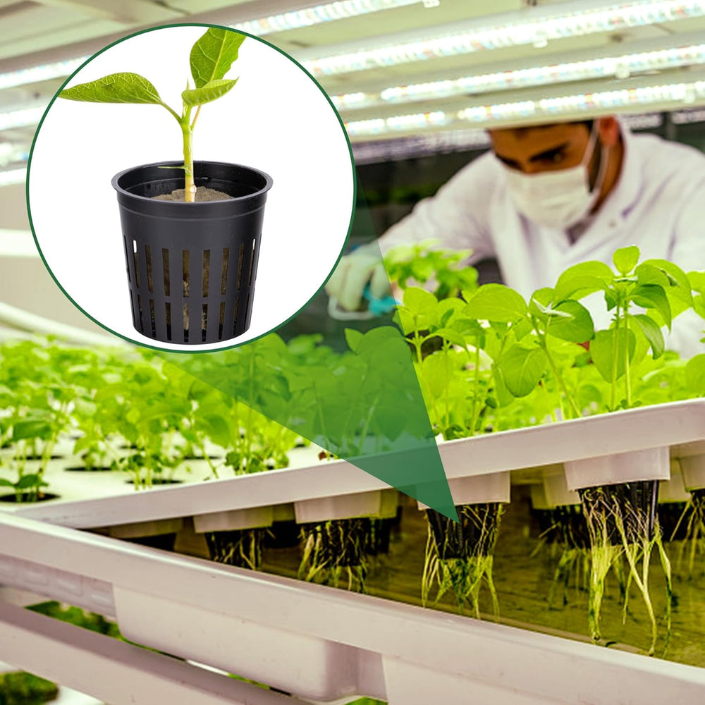 Kit de filet de culture hydrographique de 76 pièces - 20 pièces de 2 pouces (5 cm) - Filet supérieur avec filet de protection, 36 pièces de fil de pierre, 20 pièces d'articles de nettoyage de jardin en tissu pour la culture hydrographique