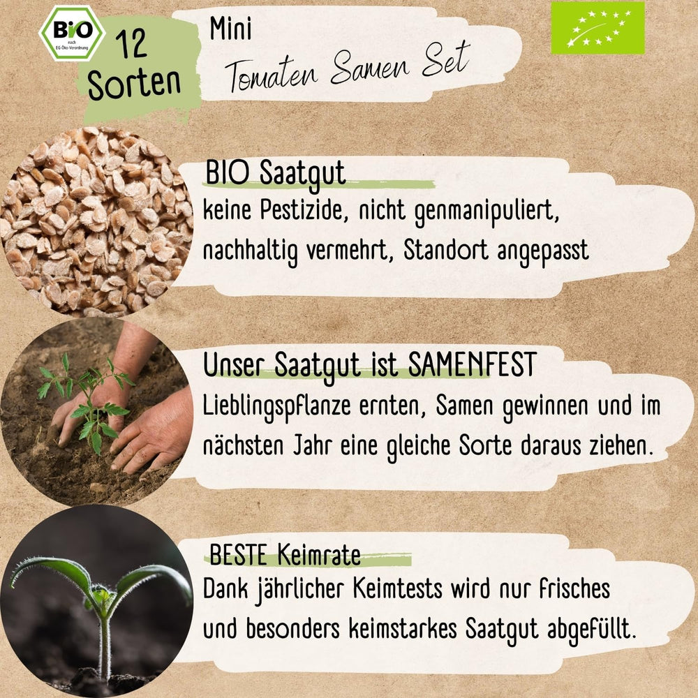 Ensemble de mini graines de tomates biologiques : 12 variétés de tomates cultivées librement | Graines de Tomates Cerise et Beefsteak Rares et Familiales | Graines de légumes pour balcon, plate-bande surélevée, jardin et cadeau | Plantes d'amour