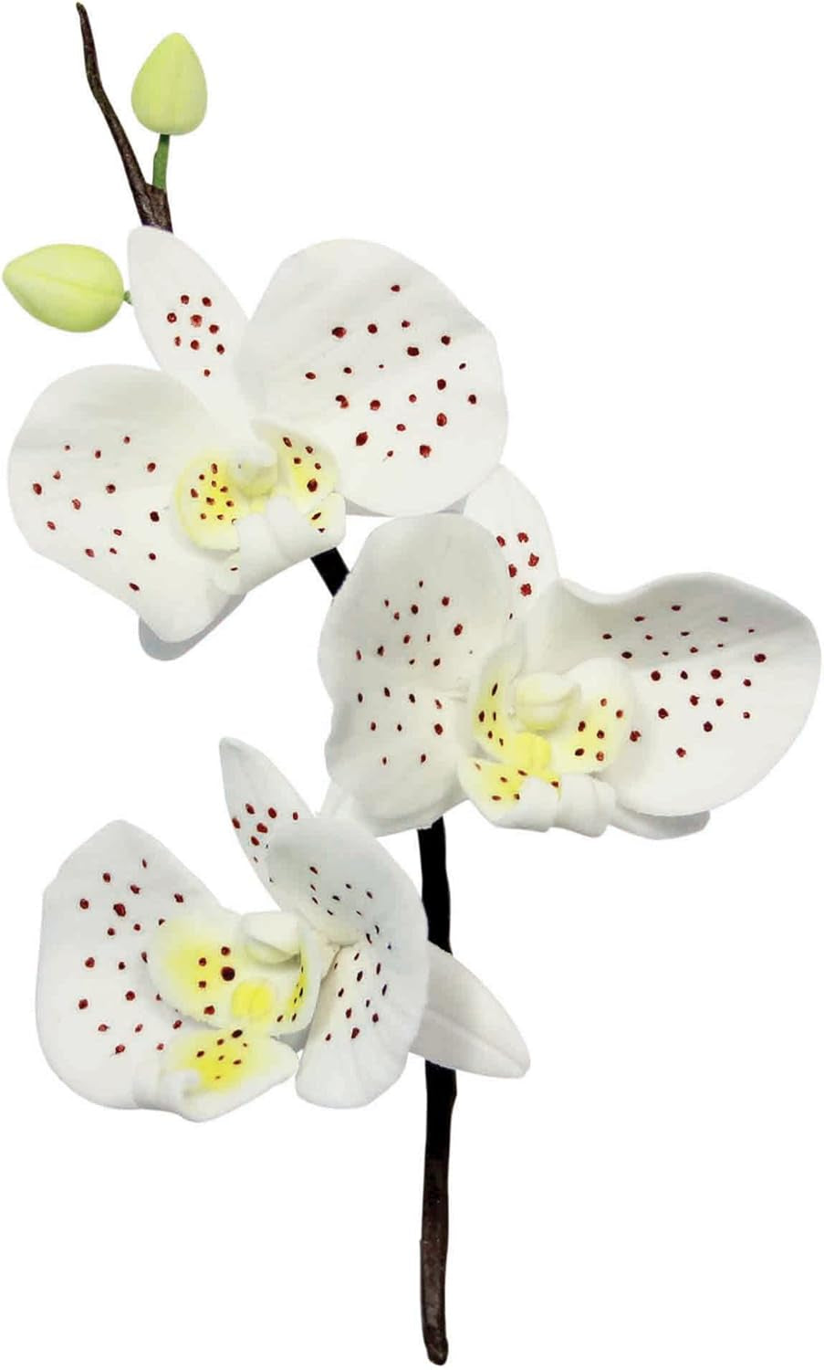 MO223 Coupe-Fleurs, Orchidée Lune, Assortiment, Acier Inoxydable, Argent, 4 x 1,2 x 4,2 cm, 3 Pièces