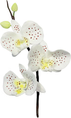 MO223 Coupe-Fleurs, Orchidée Lune, Assortiment, Acier Inoxydable, Argent, 4 x 1,2 x 4,2 cm, 3 Pièces