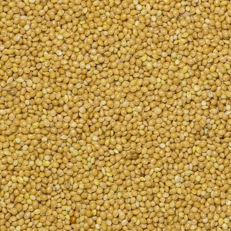 Millet à grains entiers - sans OGM - naturel - végétalien - sans produits laitiers - sans sucre ajouté - 1 kg
