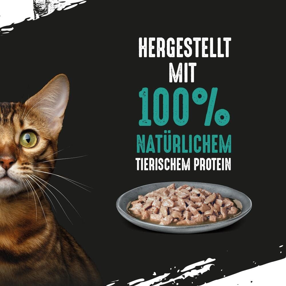 CRAVE Katze Portionsbeutel Sauce Multipack au Thon 13 x 4x85g