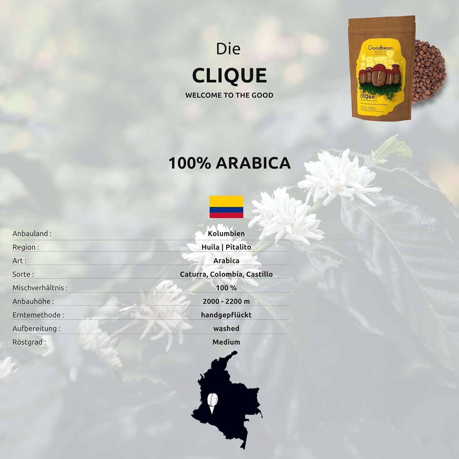 La Clique | Café | Torréfaction Omni - 100 % Arabica | Café filtre/spritziger Espresso | Ganze Bohne (500g)