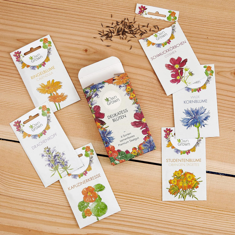 Graines de cosmos (marbrées) : graines de cosmos de qualité supérieure pour 100 plantes cosmos à fleurs – graines de fleurs comestibles – graines de fleurs colorées – graines de fleurs sauvages de OwnGrown