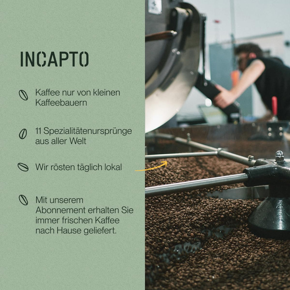 Incapto Ganze Entkofeinierte Kaffeebohnen | Ohne Chemicalien | Mélange de café 100 % Arabica au Brésil | Ungemahlen Espresso Bohnen | Café décaféiné à l'eau suisse, paquet 500g
