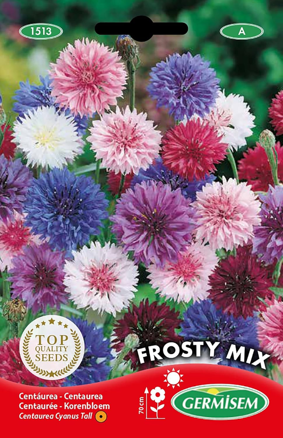 Fleur-de-Curțum ​​​​FROSTY MIX EC1513 multicolore