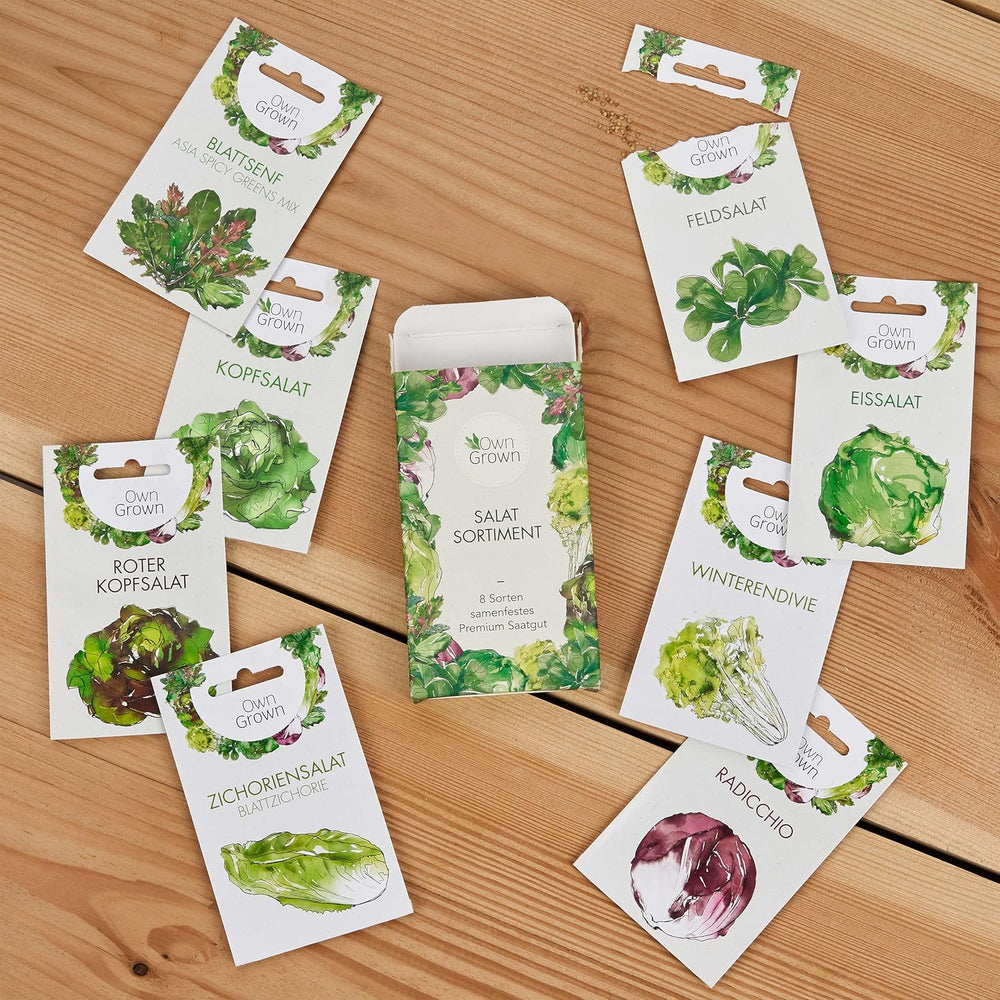 Graines de Laitue : Ensemble de 8 Variétés de Graines de Salade pour le Jardin et le Balcon - Graines de Laitue, Feuille de Moutarde, Mâche (Hardy), Radicchio, Graines d'Endive, Chicorée - Graines de Légumes à Salade de OwnGrown