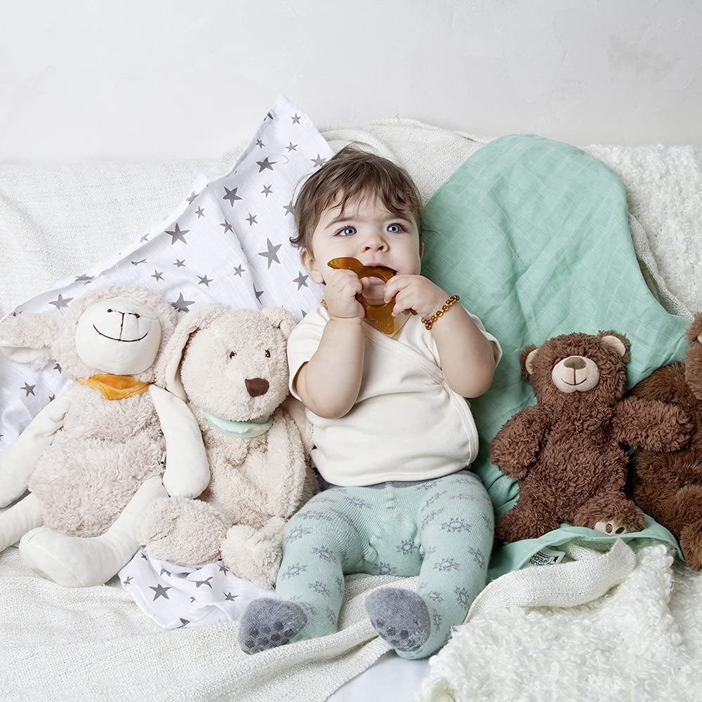 GRÜNSPECHT Anneau de dentition en caoutchouc naturel biologique pour bébés, massage des gencives, sans BPA, doux, favorise la motricité fine, tortue (639-V2), marron