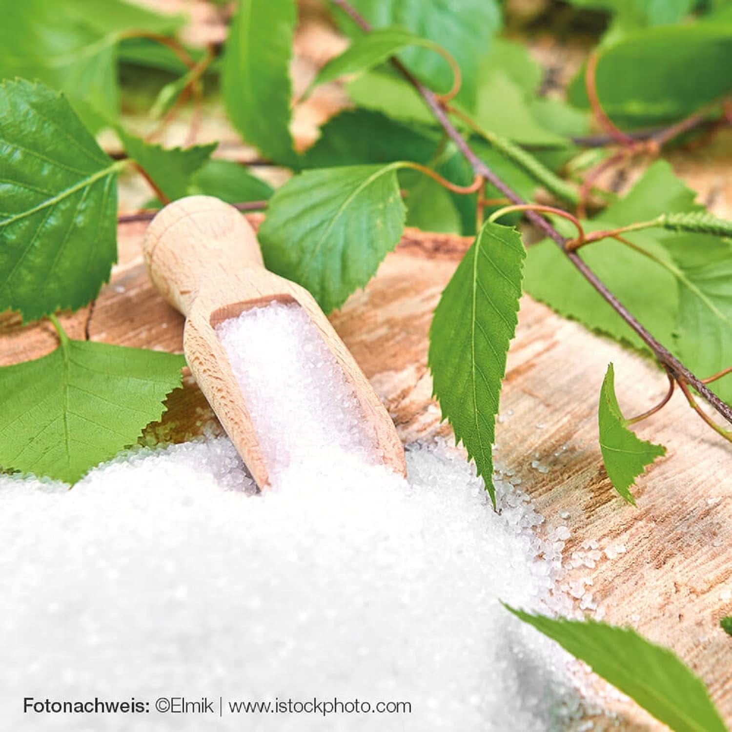 Raab Vitalfood Premium, Sucre de bouleau avec édulcorant Xylitol, Végétalien, Alternative 1:1 au sucre, 300 grammes Édulcorants Naty Shop