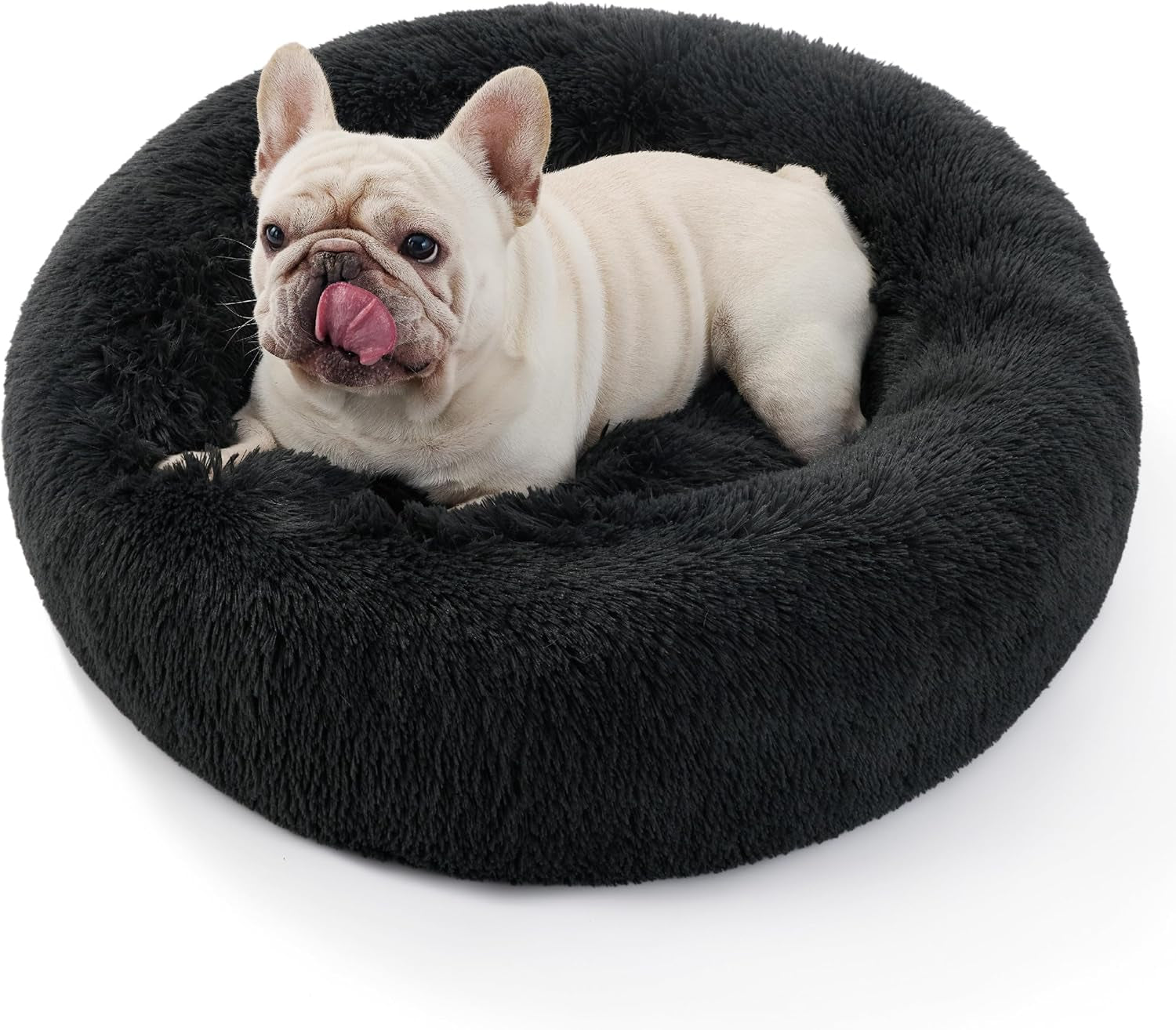 Lits et Canapés, Couvertures et Meubles, Animaux, Chats, Lits pour chats, Chats - lits, matelas