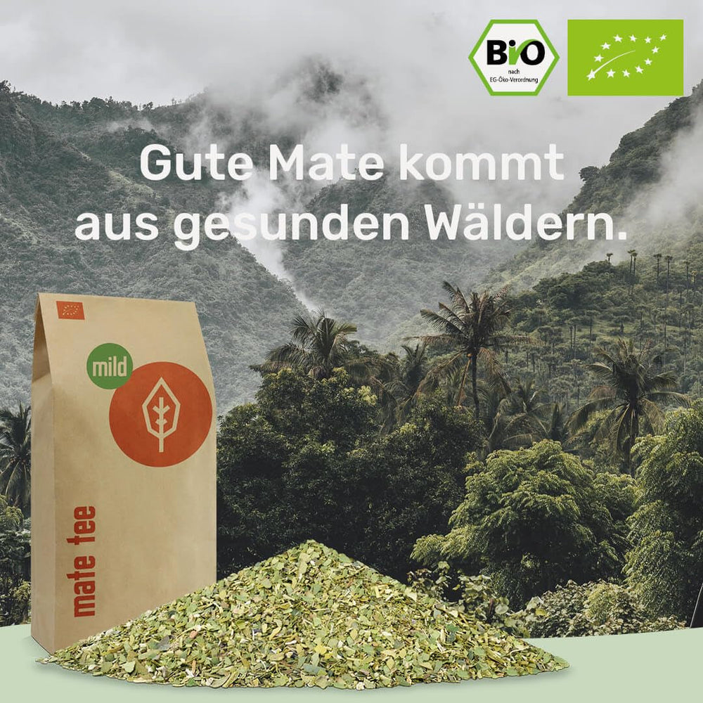Tea Mate Bio Doux 1 kg - Pur, frais et vert - Séché à l'air - Yerba Mate biologique - Contrôlé, certifié et emballé en Allemagne (1000 g)