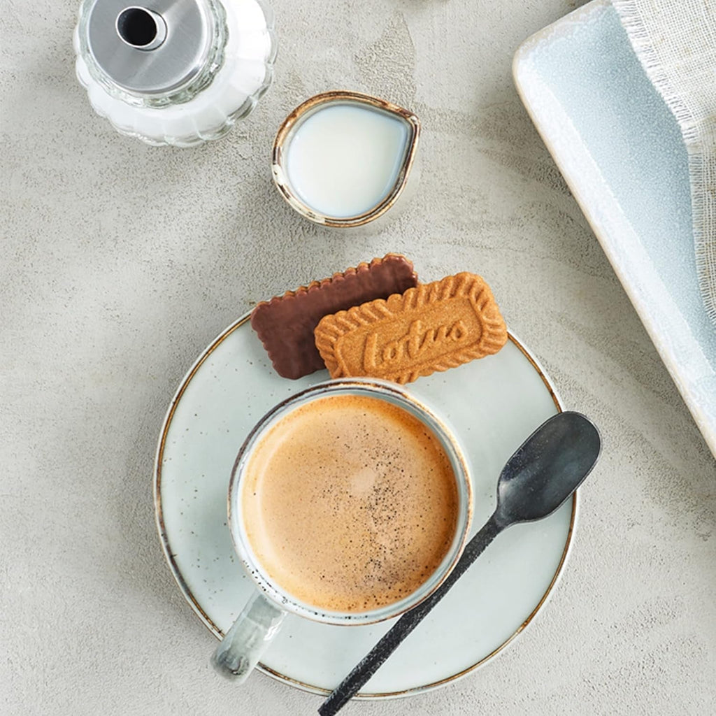 Lotus Biscoff | Biscuite caramelizate, Biscuite cu ciocolată caramelizată și Gallette Bretone | 160 de biscuiți ambalați individual | Doar ingrediente naturale | 160 x 1 | 1,1 kg