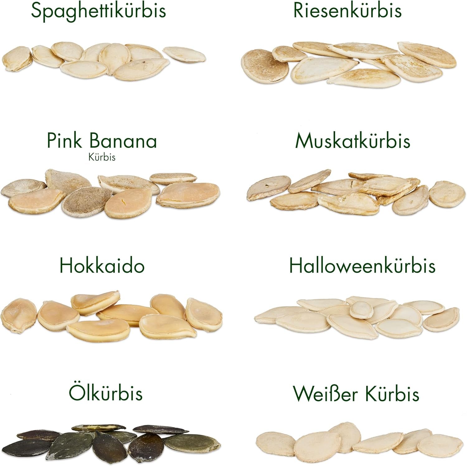 Kürbis Samen Set: 8 Sorten Premium Kürbis Saatgut Für Die Anzucht Von Kürbis Pflanzen Im Garten, Hochbeet Und Gewächshaus – Muskatkürbis Samen, Halloween Kürbis Samen, Beste Gemüse Samen Von Owngrown