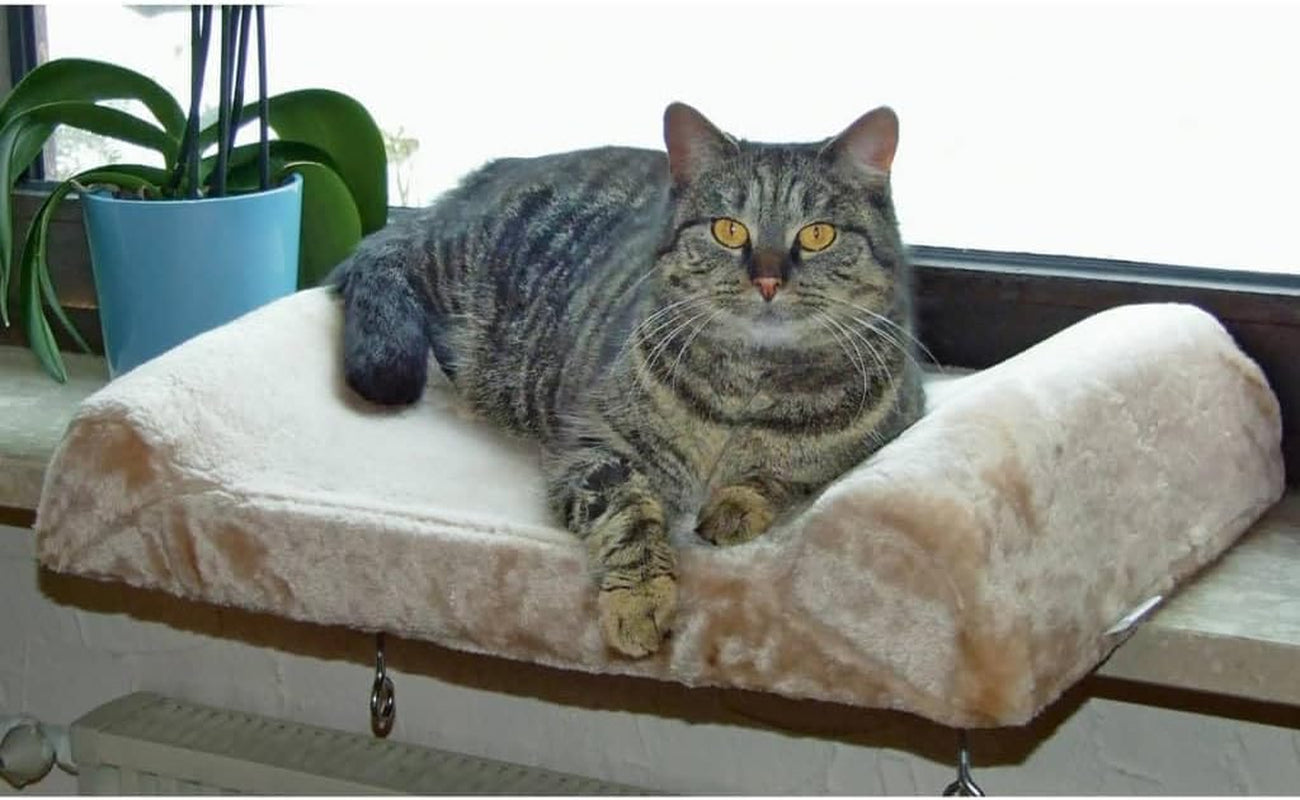 Couvertures et meubles, Sièges de fenêtre, Animaux domestiques, Chats, Lits pour chats, Chats - lits, matelas