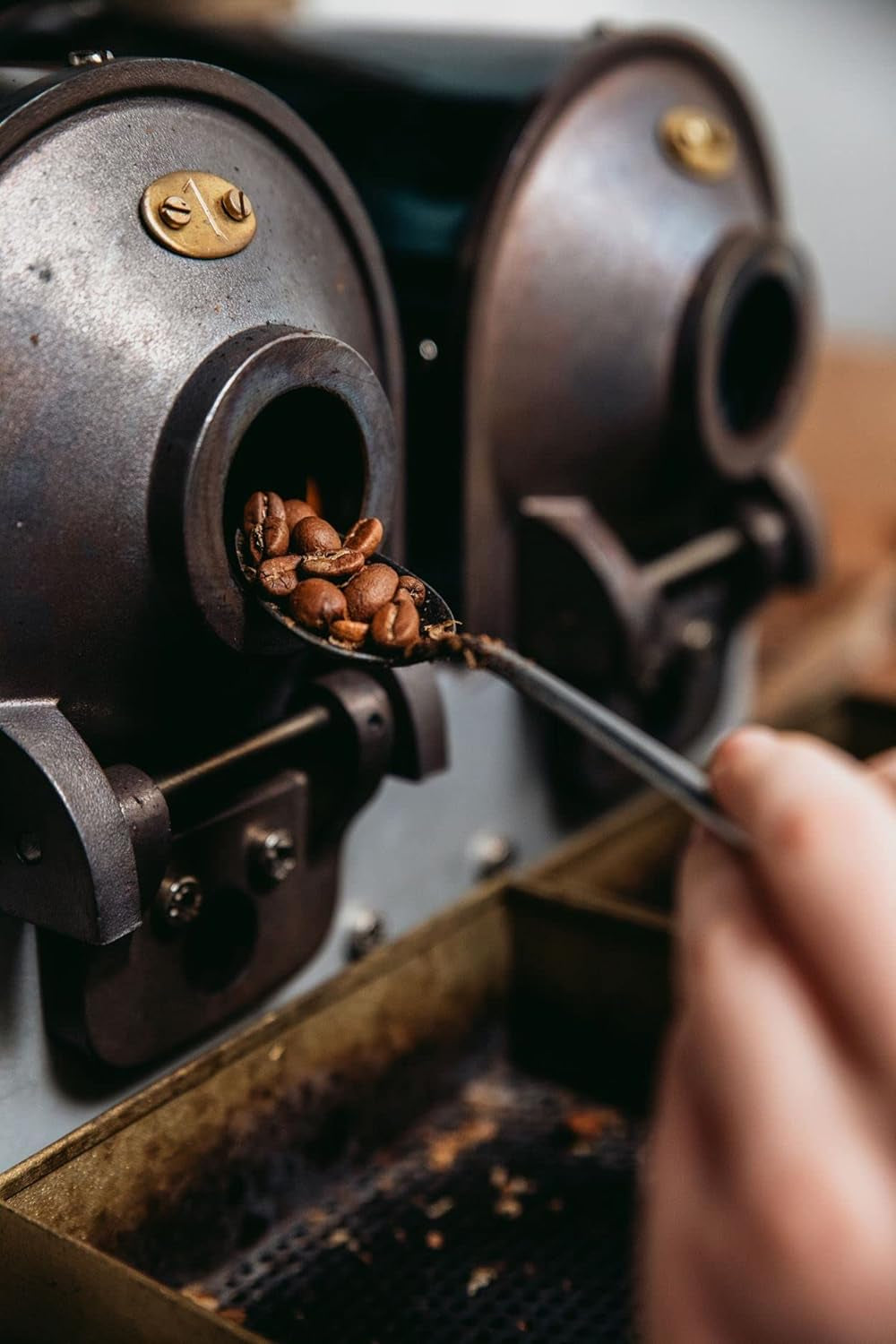 Bristot Buongusto Crema Oro, grains entiers, 1kg