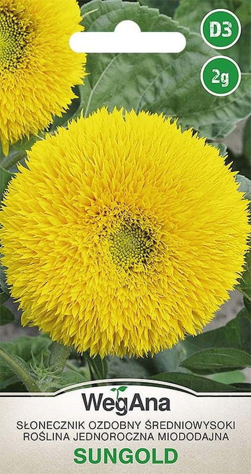 Cosmos Sensation Mix 1g graines, Cosmos Mix Fleurs d'été, Plantes de jardin Plantes de balcon, Graines de fleurs