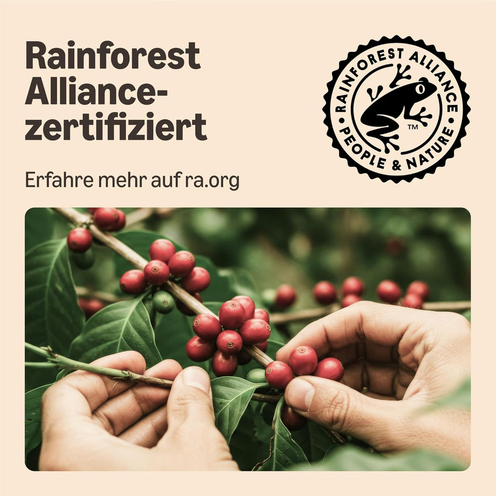 par Amazon Starke Pads, conçus pour les machines Senseo, 36 pièces (1 paquet de 36 pièces) – Certifié Rainforest Alliance