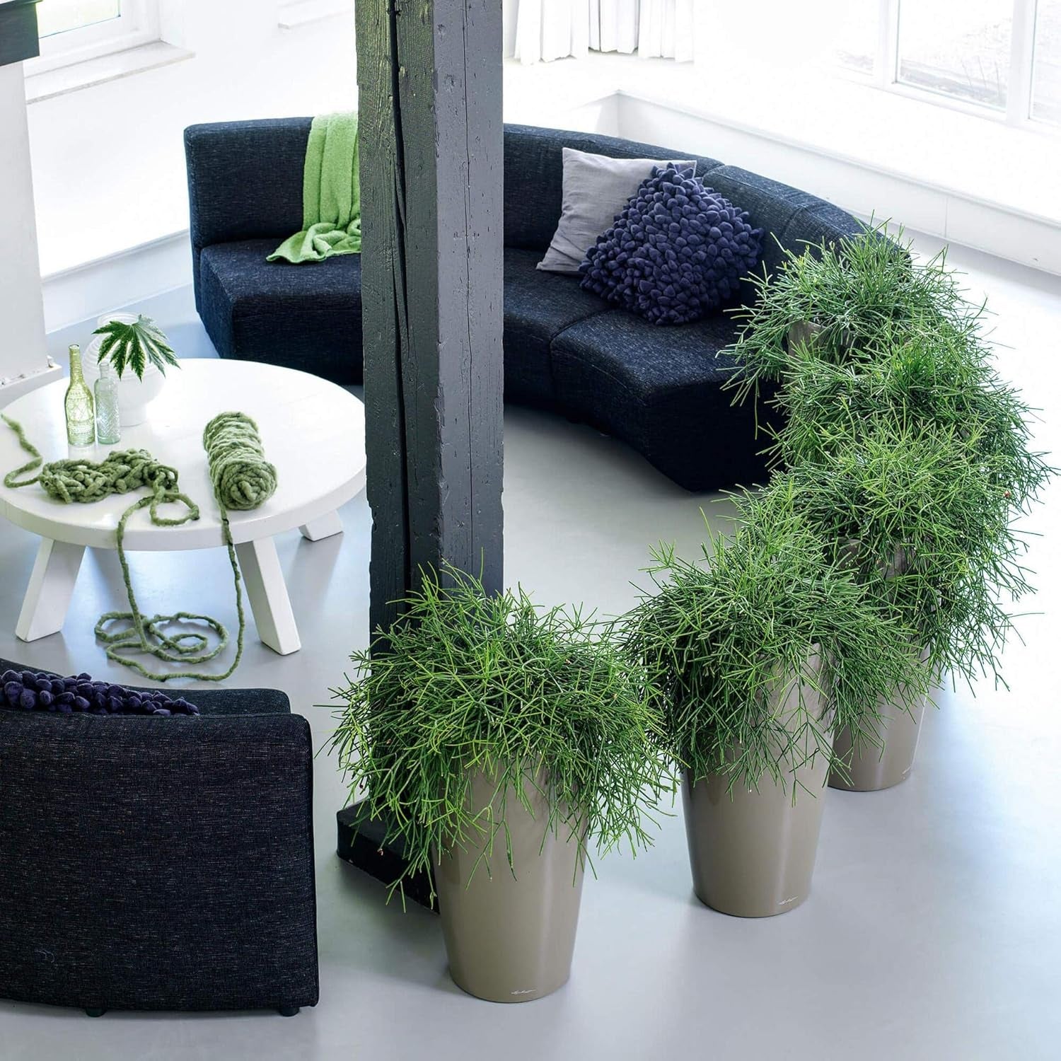 LECHUZA RONDO Premium 40 blanc brillant 15740