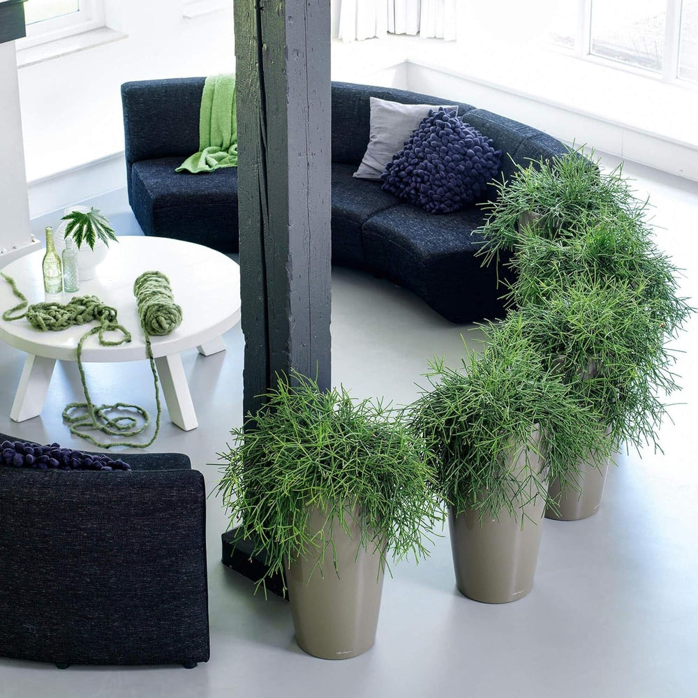 LECHUZA RONDO Premium 40 blanc brillant 15740