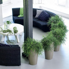 LECHUZA RONDO Premium 40 blanc brillant 15740