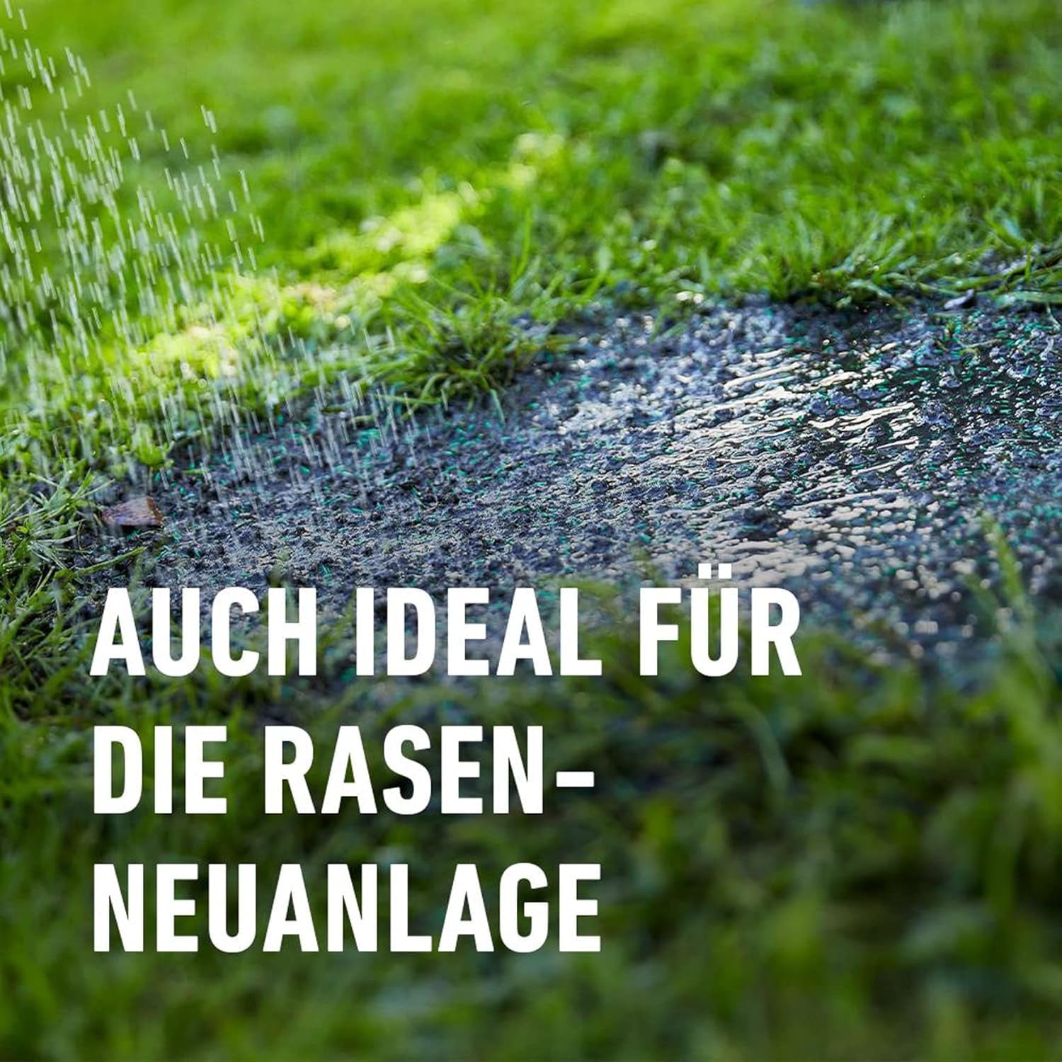 Compo SAAT® Trocken-Rasen 2Kg Für 80M²
