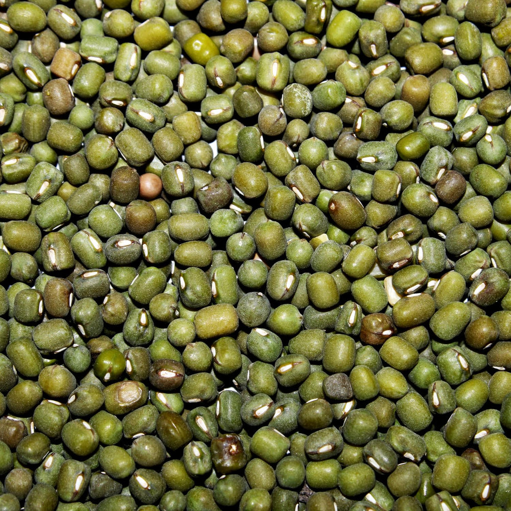 AFROASE - Haricots verts mungo - 1 x 1 kg