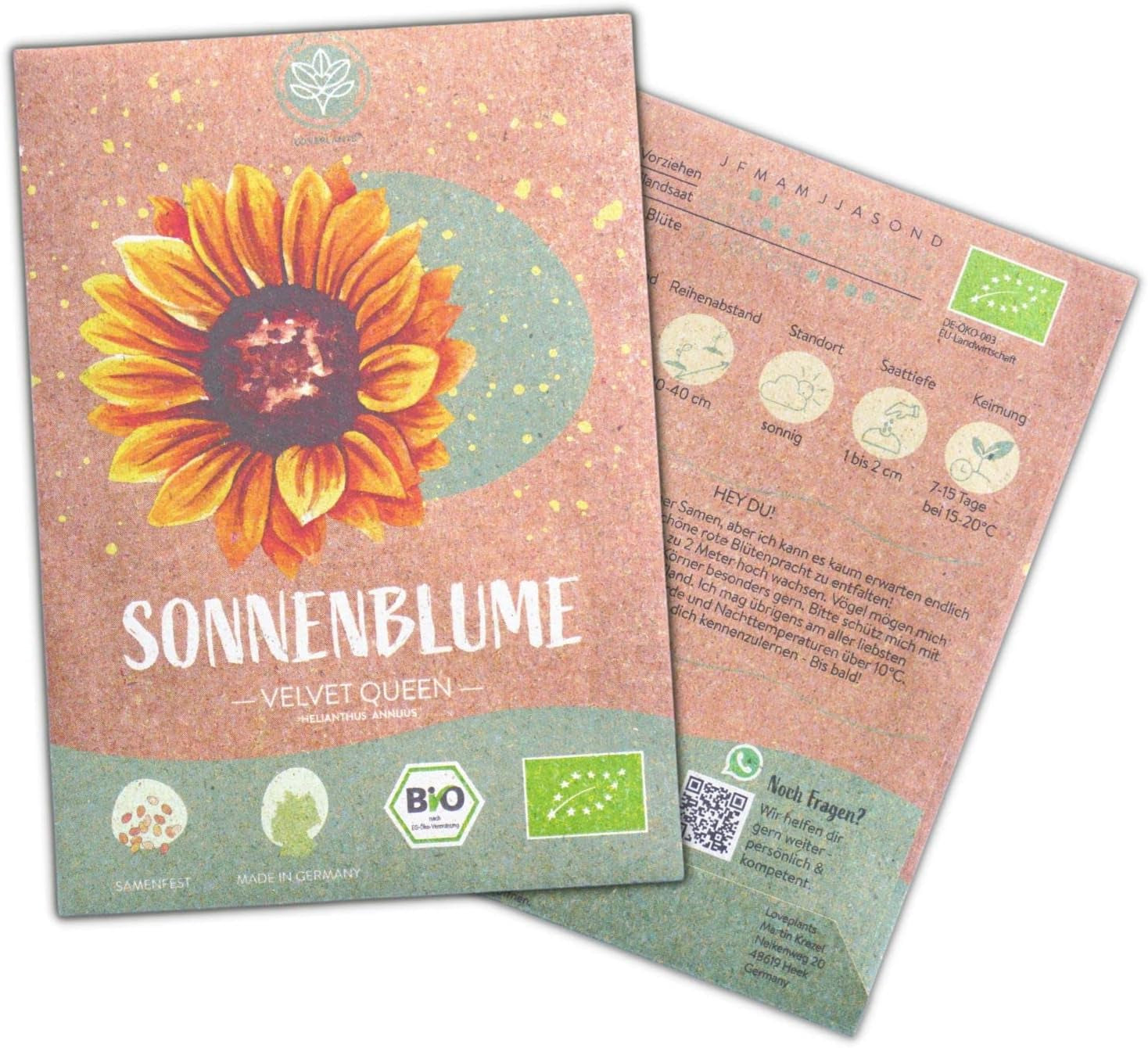 Graines de tournesol biologiques, ramifiées, 20 graines de tournesol à taux de germination élevé, graines de tournesol pour le jardin, le balcon, le parterre de fleurs ou comme cadeau d'invités. Graines de fleurs pollinisées gratuites.