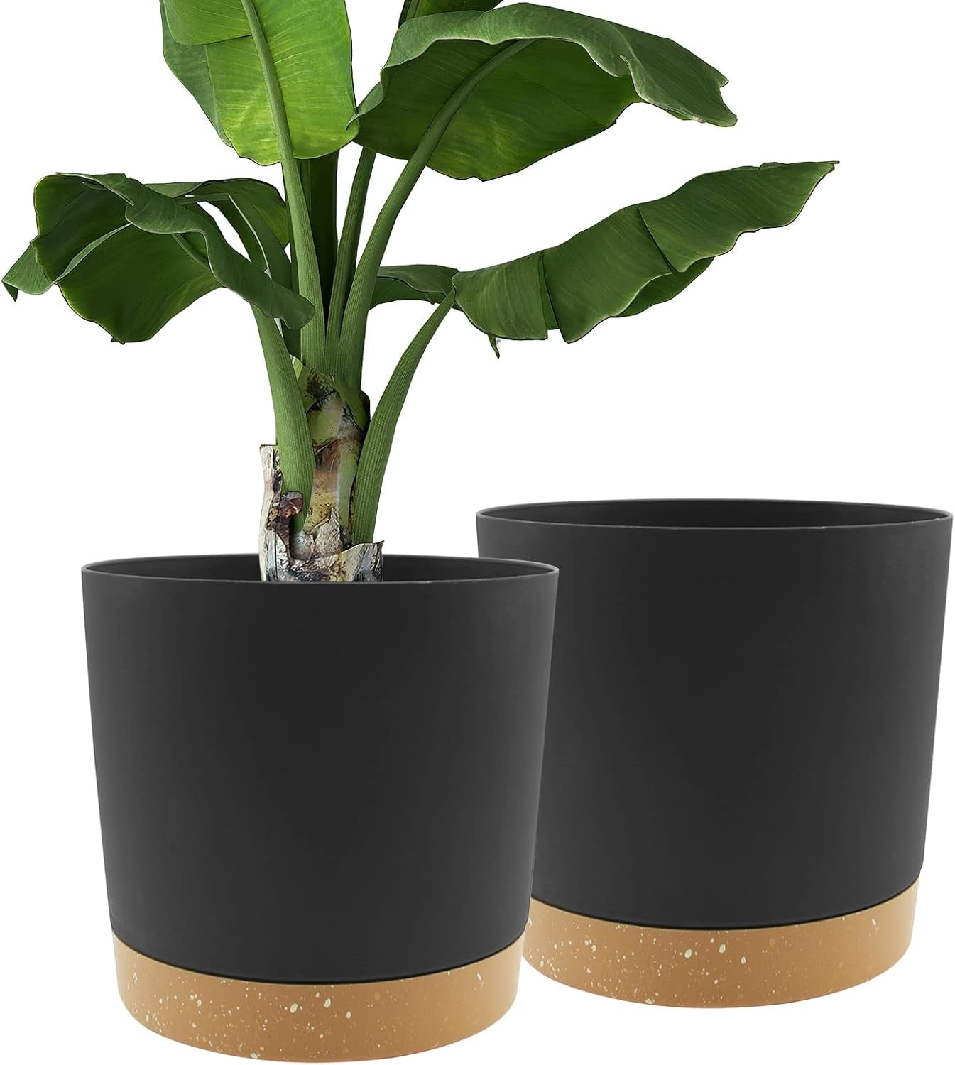 Lot de 2 pots de fleurs de 12,7 cm, pots de fleurs d'intérieur avec trous de drainage et base amovible, soucoupes décoratives modernes pour jardinières d'extérieur (blanc 12,7 cm)