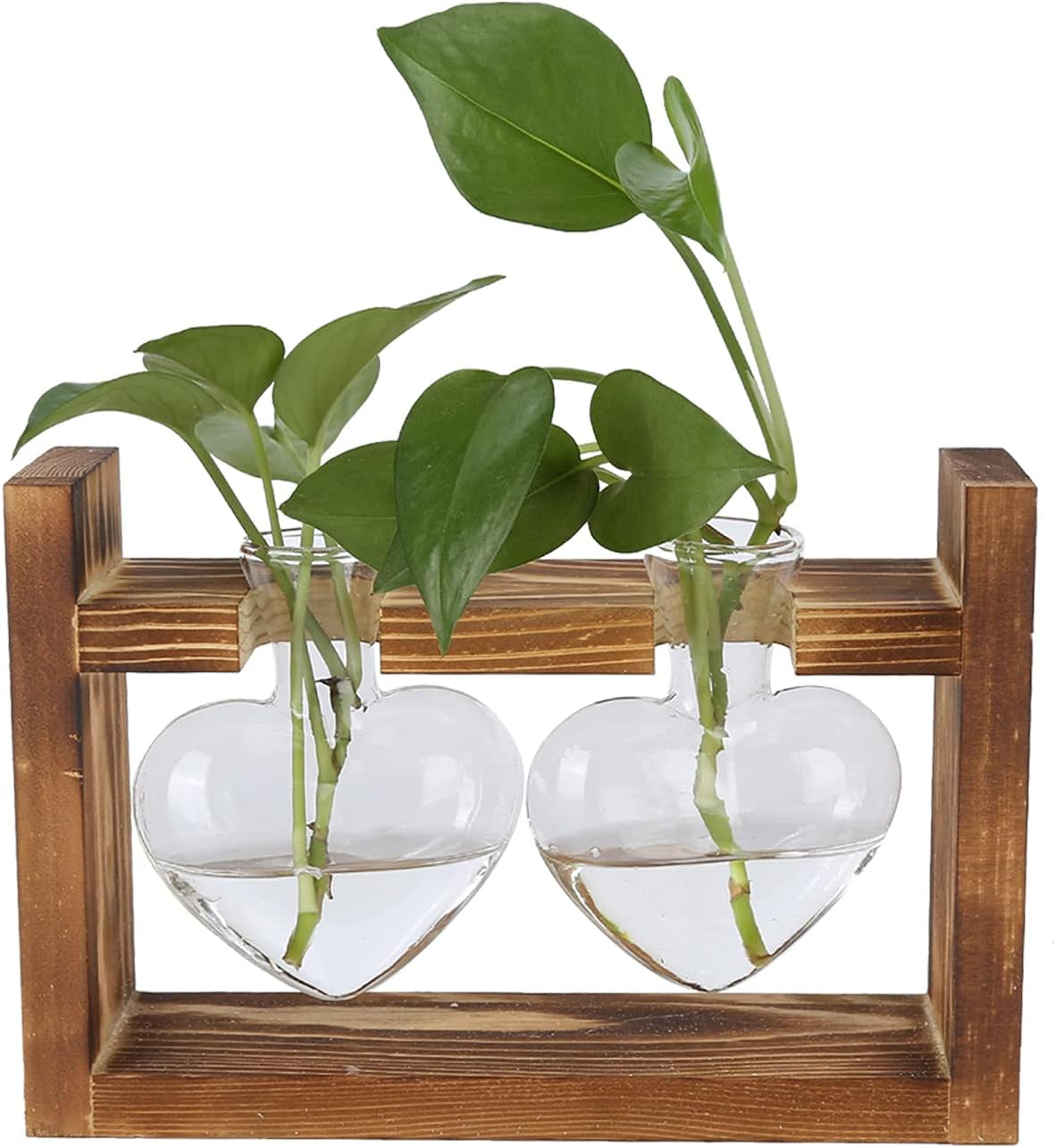 Terrarium de plantes sur support en bois, vase de table en forme de cœur, plantes hydroponiques en verre transparent pour la décoration de jardin de la maison, décoration florale hydroponique pour bureau, salon, cuisine (A)