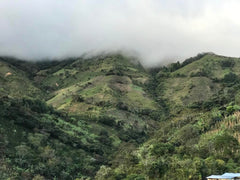 Café de spécialité Colombie, 1 kg, grains de café de spécialité, fraîchement torréfiés, pour expresso et Italie, producteur Gomez-Pinwand