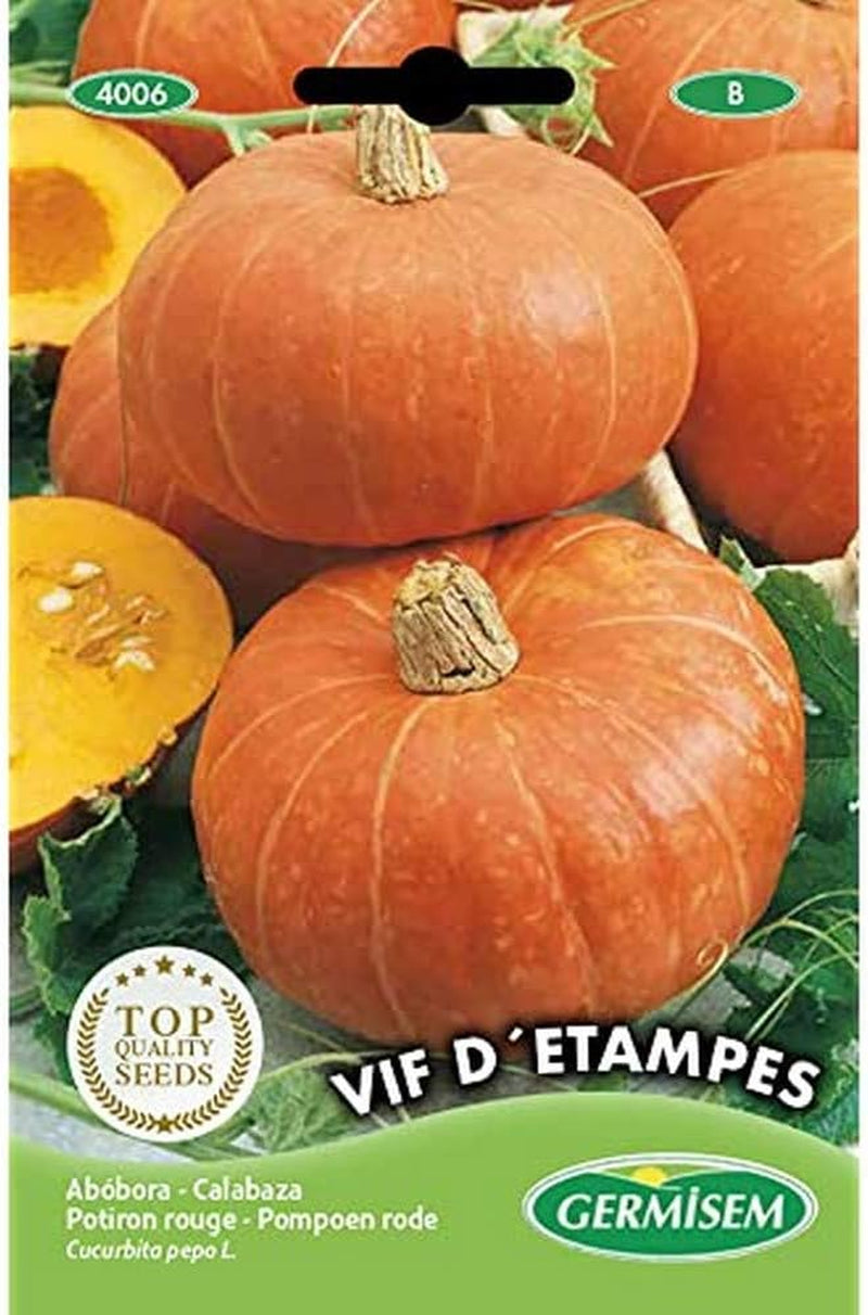 Kürbis DE ETAMPES, Mehrfarbig, EC4006