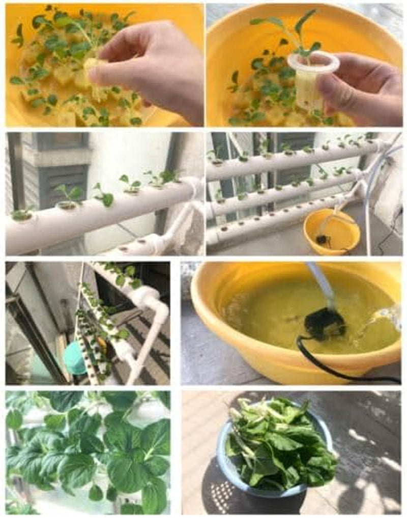 Pflanzen Pflanze Kit de culture de système hydroponique 90 sites de plantes, trois couches de plantation, outil de jardinage, système de culture de plantes végétales, culture hydroponique de jardin hydroponique, système de construction de plantes, 3 planches